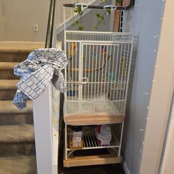 Bird Cage With Parakeet And Zebra Finch