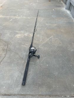 Fishing rod and reel Penn asking $100!!!