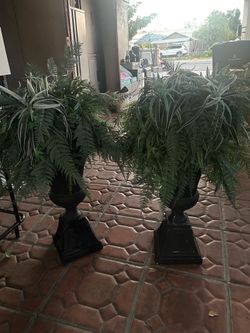 Pair of big fake plants