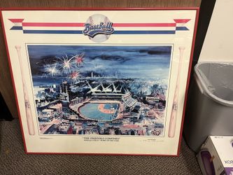Framed Chicago Cubs Wrigley Field Picture