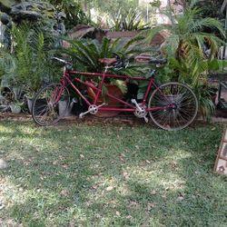 Bicycle Built For 2