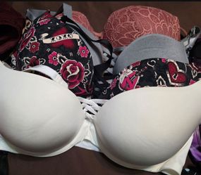 Torrid/Victoria Secret