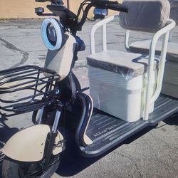 Electric Scooter-Utility-bike