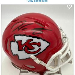 Gray Mini Helmet Signed 