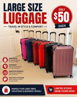 Luggage big size only 50$ each