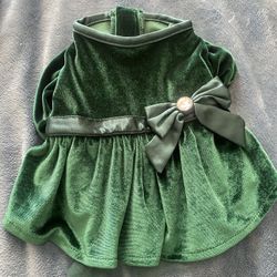 Small Dog Green Velvet Dress