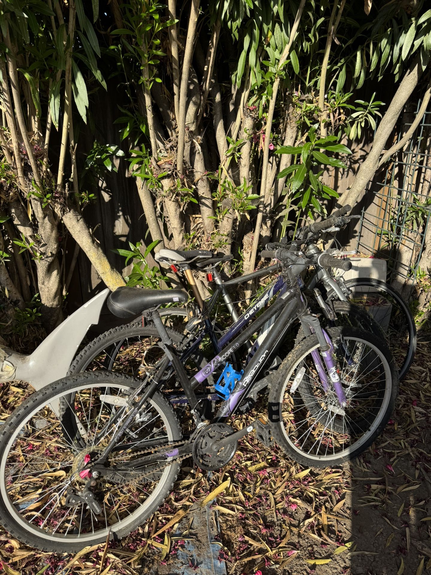 BIKES $20 Each