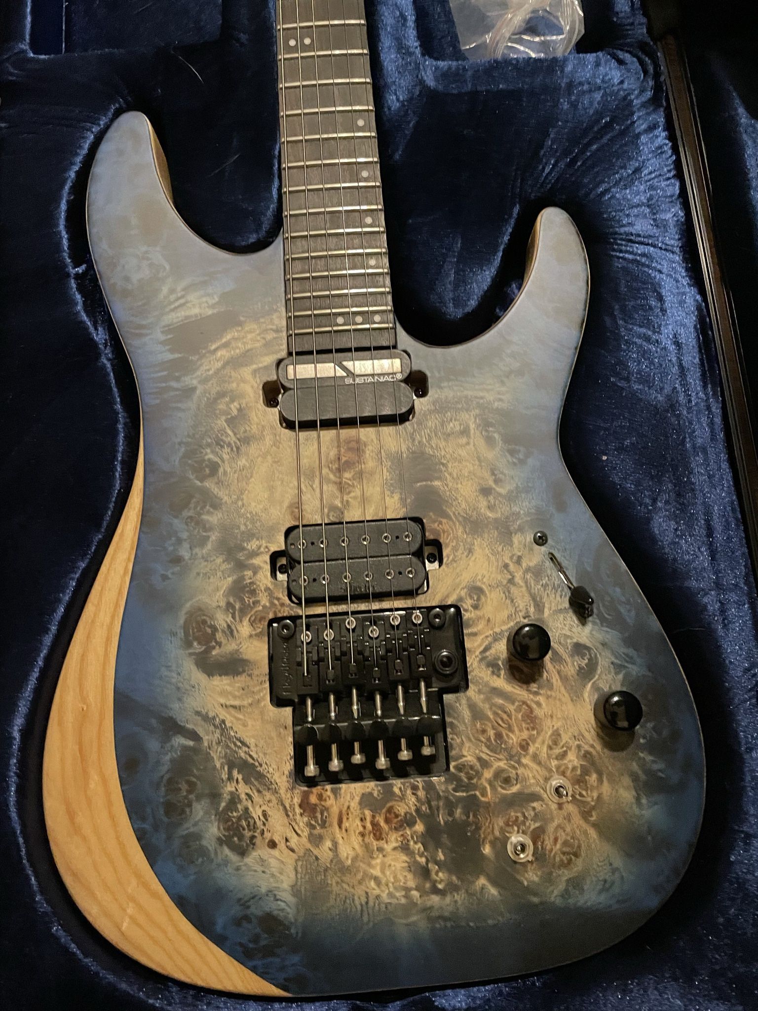 Schecter Electric Guitar
