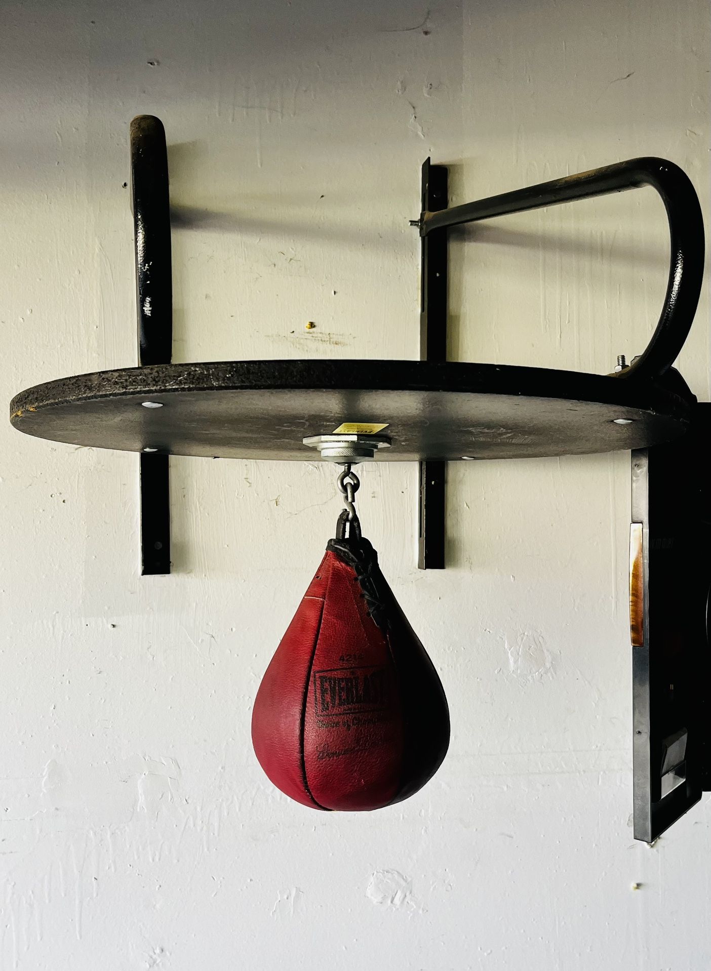 Everlast Speed Bag Set
