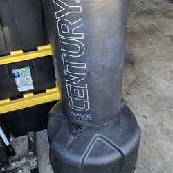 Century Punching Bag