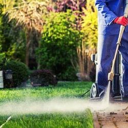 Pressure Washing And Yard Cleanup