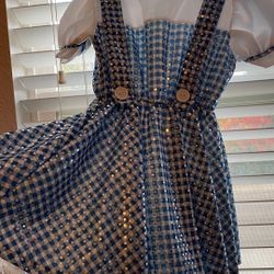 Costume Dorothy Size Is Small Maybe Like 3t 