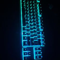Steelseries Un Mechanical Keyboard And Razor Mouse
