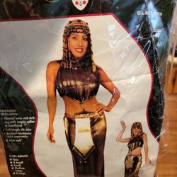 Halloween Costume 