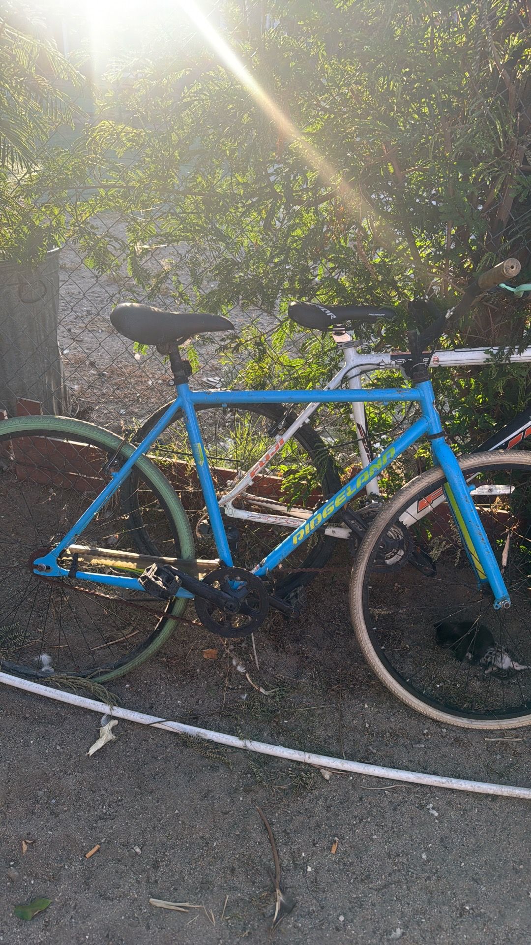 Two mountain bikes