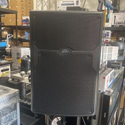 PEAVEY PVX P15