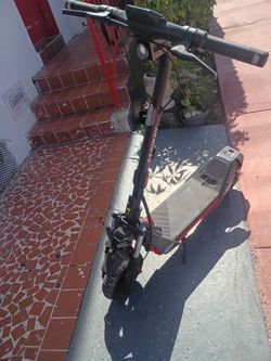 Segway scooter adult