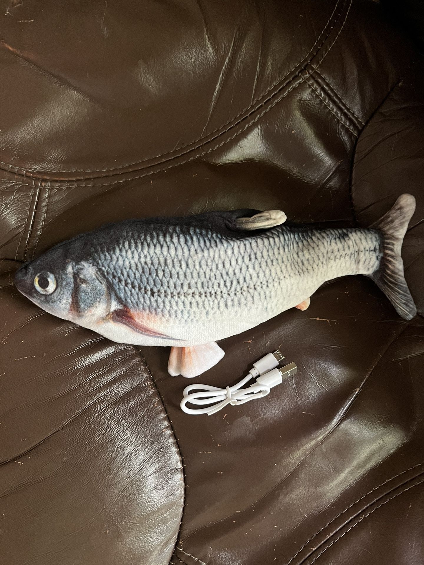Fish Cat Toy