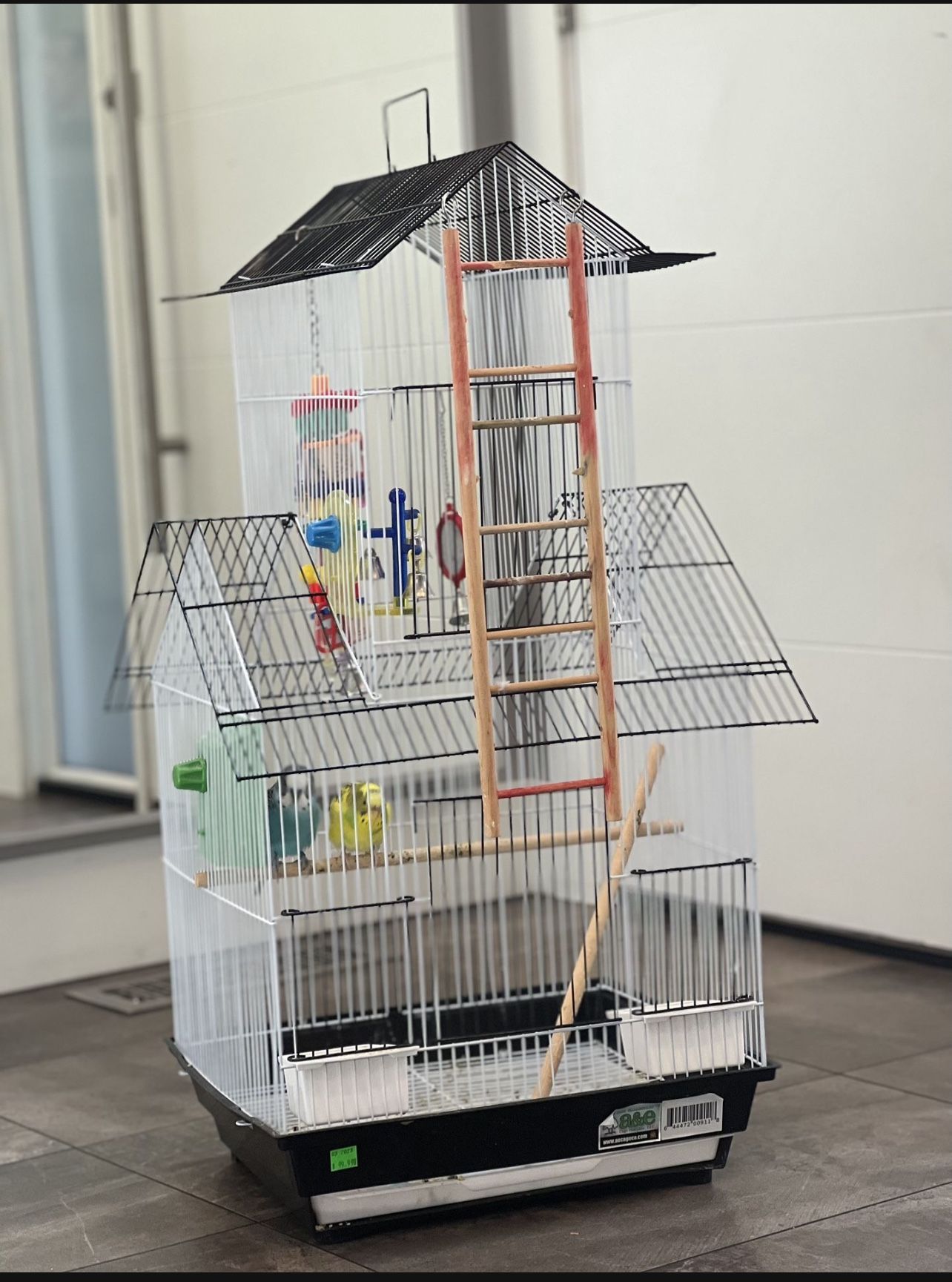 Re Homing Two Budgies With Cage And All The Accessories Great Condition 