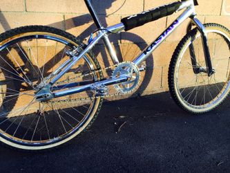 Old BMX Cruiser 24