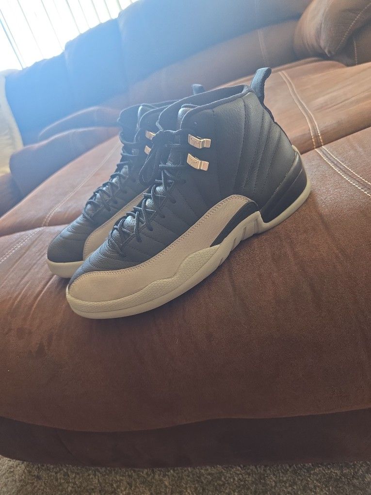 Jordan 12s Shadow