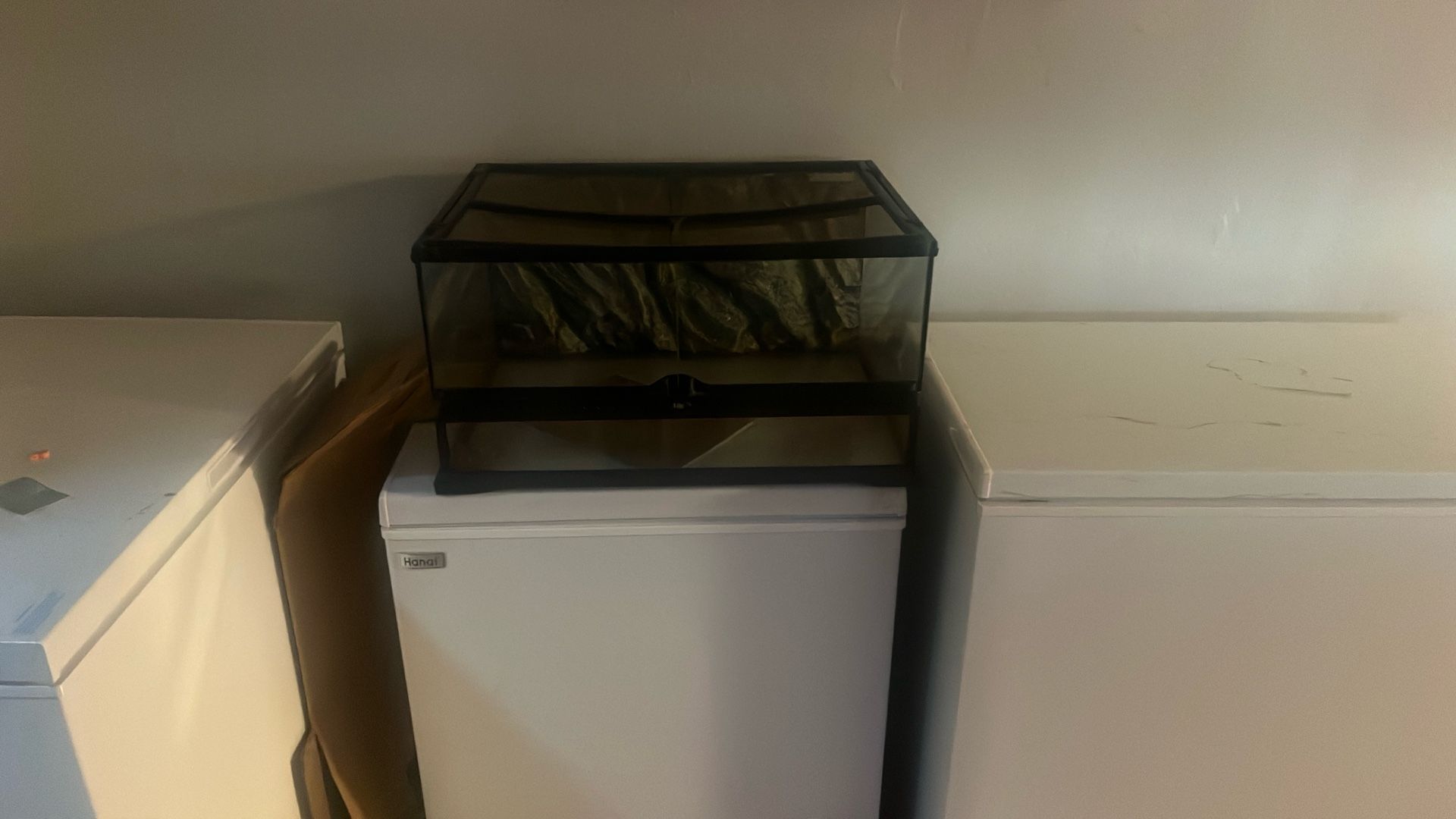 Snake Tank