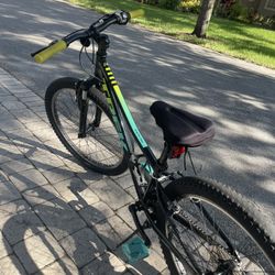 Trek 24 inch