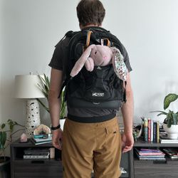 $140 On Amazon.  Dog Backpack 