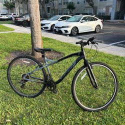 Adult Bike 