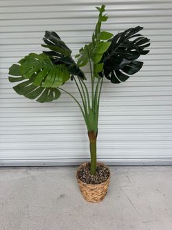 Artificial plant - model home decor