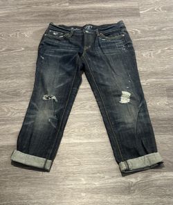 Ann Taylor Loft Boyfriend Jeans  2/26 Never Worn 