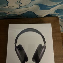 AirPod maxes 