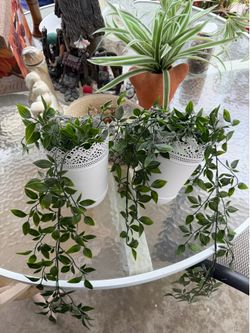 2 faux plants with hanger
