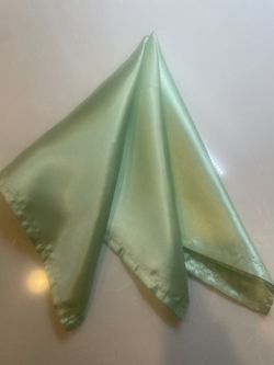 Satin Mint Napkins New