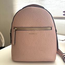 Fiorelli Mini Backpack