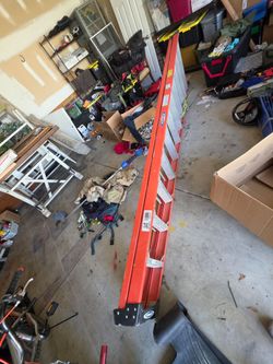 12' Werner step ladder