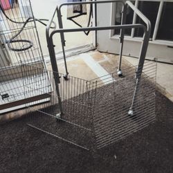 Bird Cage 
