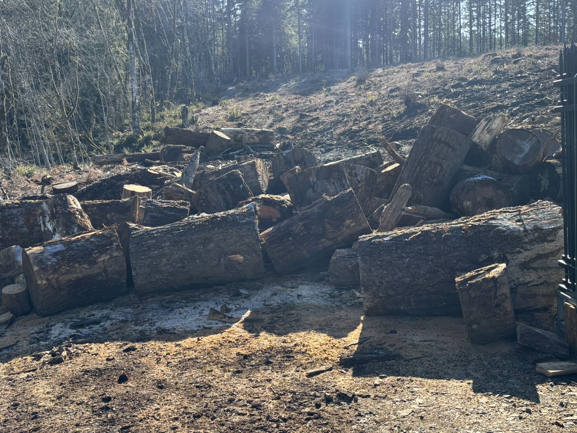 Affordable Firewood