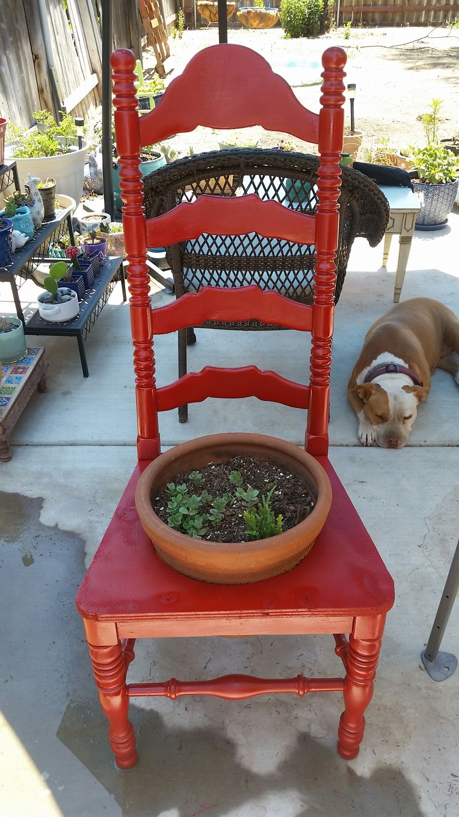 Decorative Garden chair