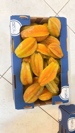ā Fresh Sweet Starfruit (Carambola) ā Locally Grown! ā
