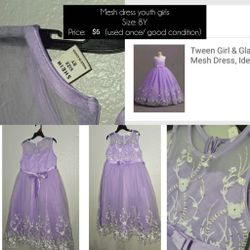 Little Girl's Shein Embroidery Dress