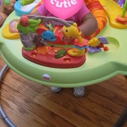 Activity Center Bouncer