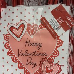 Valentine's Day Gift Bags
