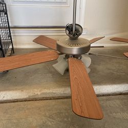 (2) Ceiling Fans