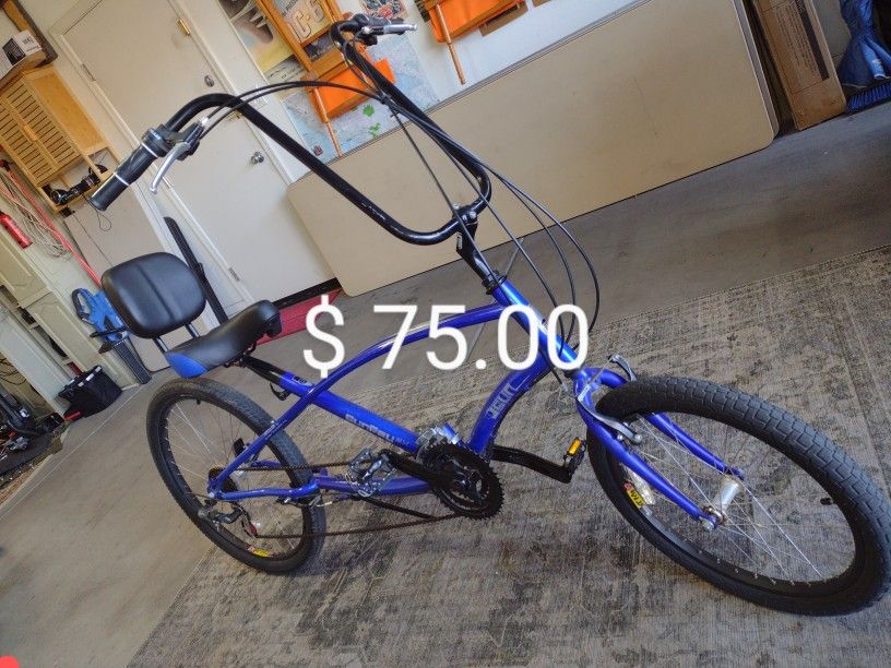 Sun Ray SX Semi Recumbent Bicycle