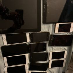 Unstated Apple Lot 