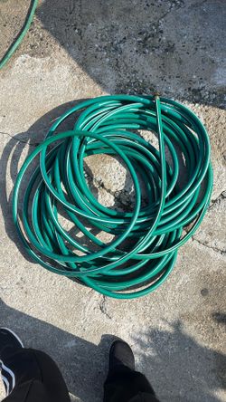 Hose