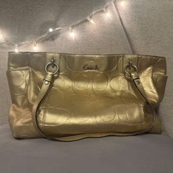 Real Coach Purse