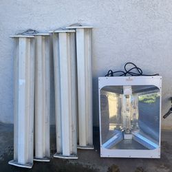 Fluorescent Lights And Plant Lamp Light 