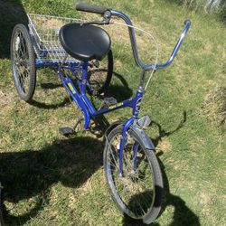 Blue Miami Sun Adult Tricycle w Basket